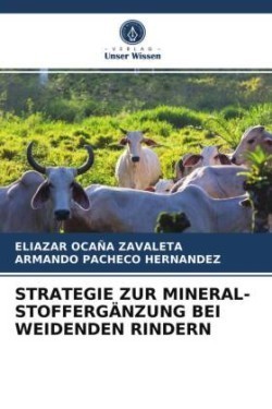 Strategie Zur Mineral-Stoffergänzung Bei Weidenden Rindern