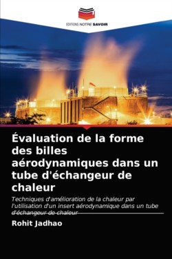 Évaluation de la forme des billes aérodynamiques dans un tube d'échangeur de chaleur