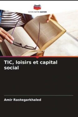 TIC, loisirs et capital social