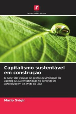 Capitalismo sustentável em construção