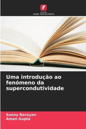 Uma introdução ao fenómeno da supercondutividade