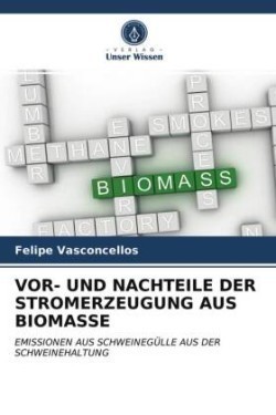 VOR- UND NACHTEILE DER STROMERZEUGUNG AUS BIOMASSE