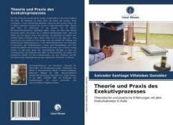 Theorie und Praxis des Exekutivprozesses