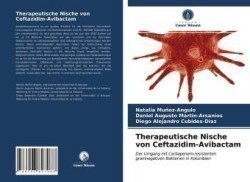 Therapeutische Nische von Ceftazidim-Avibactam