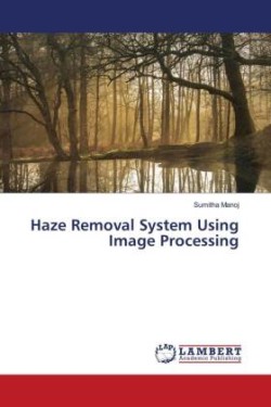 Haze Removal System Using Image Processing