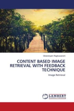 Content Based Image Retrieval with Feedback Technique