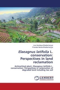 Elaeagnus latifolia L. conservation: Perspectives in land reclamation