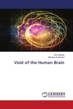 Void of the Human Brain