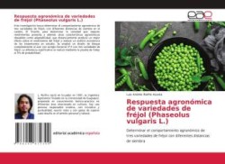 Respuesta agronómica de variedades de fréjol (Phaseolus vulgaris L.)