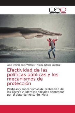 Efectividad de las políticas públicas y los mecanismos de protección