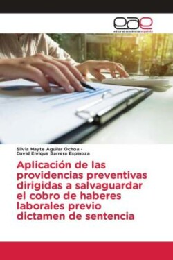 Aplicación de las providencias preventivas dirigidas a salvaguardar el cobro de haberes laborales previo dictamen de sentencia