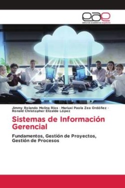 Sistemas de Información Gerencial