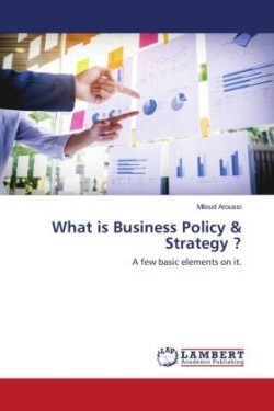 What is Business Policy & Strategy ?