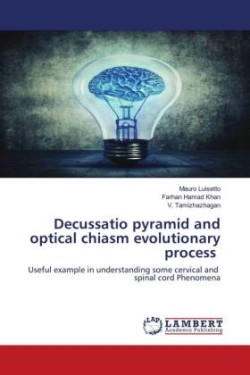 Decussatio pyramid and optical chiasm evolutionary process