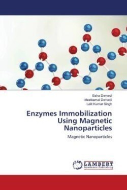 Enzymes Immobilization Using Magnetic Nanoparticles