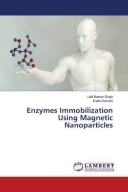 Enzymes Immobilization Using Magnetic Nanoparticles
