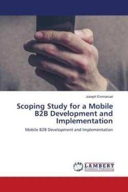 Scoping Study for a Mobile B2B Development and Implementation