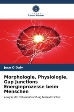 Morphologie, Physiologie, Gap Junctions Energieprozesse beim Menschen