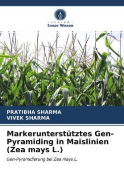 Markerunterstütztes Gen-Pyramiding in Maislinien (Zea mays L.)