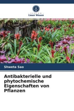 Antibakterielle und phytochemische Eigenschaften von Pflanzen