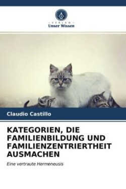 KATEGORIEN, DIE FAMILIENBILDUNG UND FAMILIENZENTRIERTHEIT AUSMACHEN