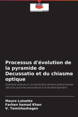 Processus d'évolution de la pyramide de Decussatio et du chiasme optique