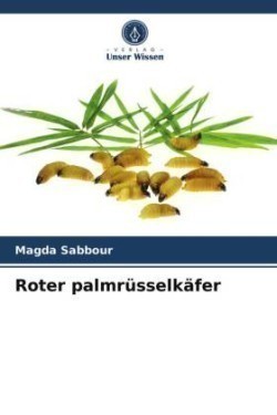 Roter palmrüsselkäfer