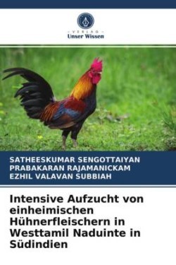 Intensive Aufzucht von einheimischen Hühnerfleischern in Westtamil Naduinte in Südindien