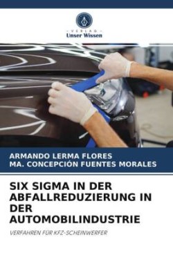 Six SIGMA in Der Abfallreduzierung in Der Automobilindustrie