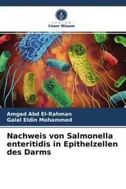 Nachweis von Salmonella enteritidis in Epithelzellen des Darms