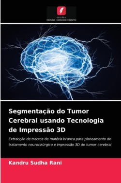 Segmentação do Tumor Cerebral usando Tecnologia de Impressão 3D