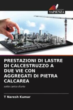 Prestazioni Di Lastre Di Calcestruzzo a Due Vie Con Aggregati Di Pietra Calcarea