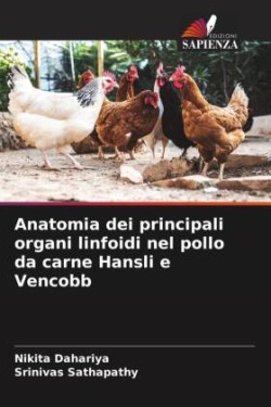 Anatomia dei principali organi linfoidi nel pollo da carne Hansli e Vencobb