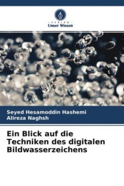 Blick auf die Techniken des digitalen Bildwasserzeichens