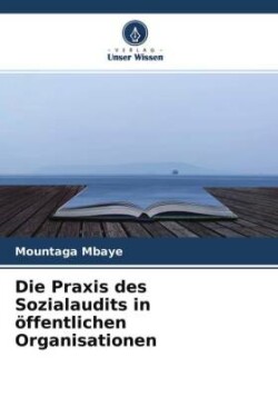 Praxis des Sozialaudits in öffentlichen Organisationen