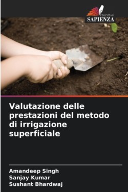 Valutazione delle prestazioni del metodo di irrigazione superficiale