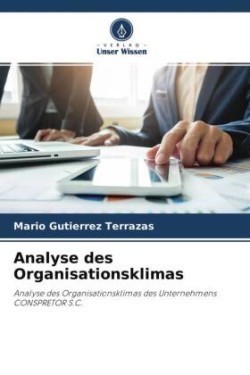 Analyse des Organisationsklimas