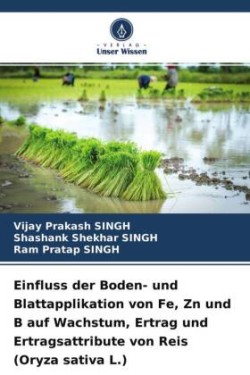 Einfluss der Boden- und Blattapplikation von Fe, Zn und B auf Wachstum, Ertrag und Ertragsattribute von Reis (Oryza sativa L.)