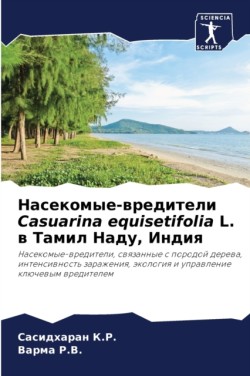 Насекомые-вредители Casuarina equisetifolia L. в Тамил Наду, Инд&#1080