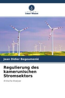 Regulierung des kamerunischen Stromsektors