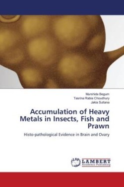 Accumulation of Heavy Metals in Insects, Fish and Prawn