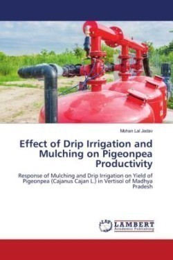 Effect of Drip Irrigation and Mulching on Pigeonpea Productivity