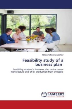 Feasibility study of a business plan