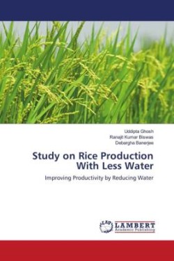 Study on Rice Production With Less Water