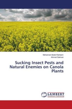 Sucking Insect Pests and Natural Enemies on Canola Plants