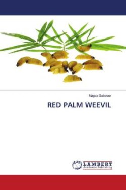 RED PALM WEEVIL