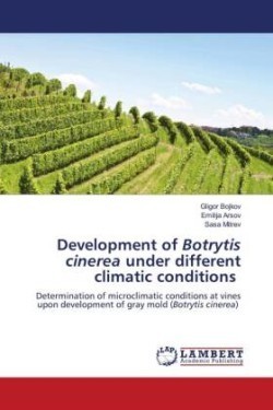 Development of Botrytis cinerea under different climatic conditions