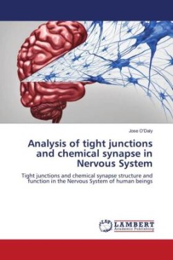 Analysis of tight junctions and chemical synapse in Nervous System
