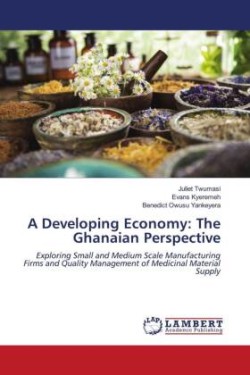 A Developing Economy: The Ghanaian Perspective