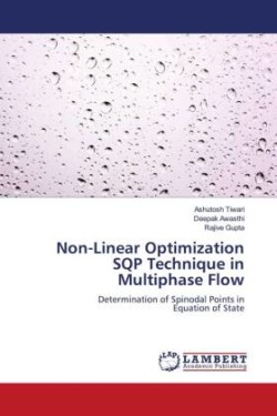 Non-Linear Optimization SQP Technique in Multiphase Flow